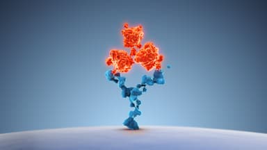 The medical idea of human cell receptor antibodies | Image Credit: © jitendra jadhav - stock.adobe.com