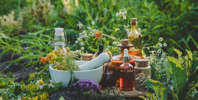 Medicinal herbs and tinctures alternative medicine. Selective focus. | Image Credit: © yanadjan - stock.adobe.com