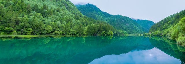 Jiuzhaigou scenery, China - June 15, 2017: this is located in China's jiuzhaigou scenic area, a famous tourist destination in China.Most of it is pristine. The color of the lake is the color of nature. | Image Credit: © ChuanSheng - stock.adobe.com