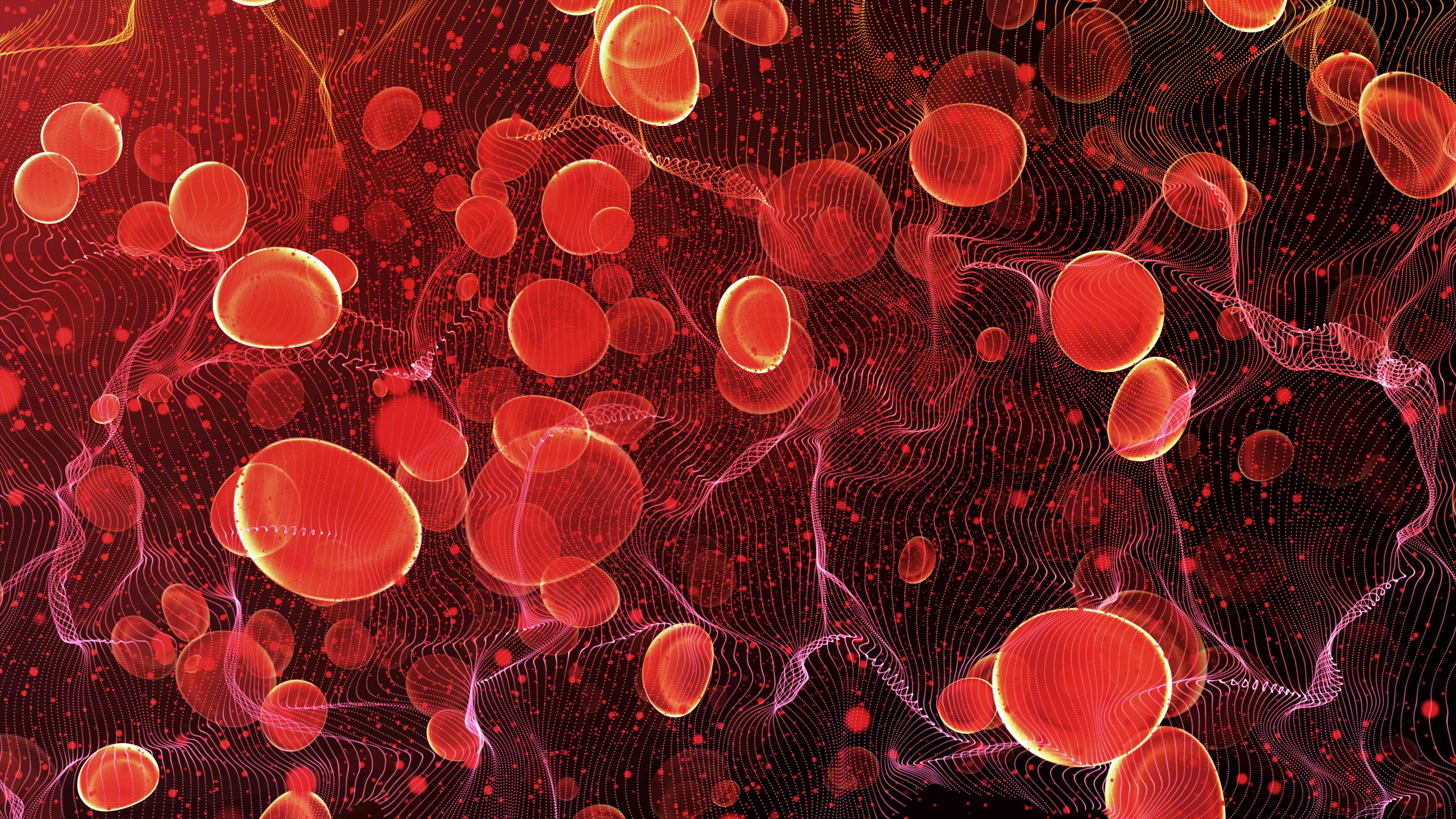 Red blood cells travel in an artery. © Digilife - stock.adobe.com