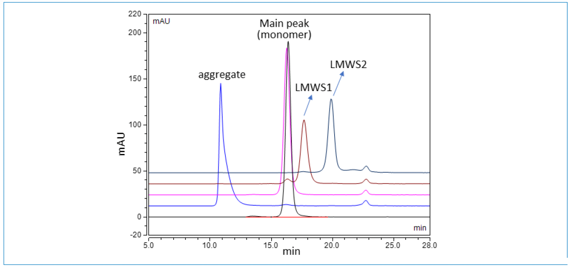 Figure 3: Overlaid SEC chromatograms of unfractionated mAb (black); and aggregate (blue), main peak (magenta), LMWS1 (maroon), and LMWS2 (dark blue) fractions collected from the stressed (65 °C for 7 days) mAb product.