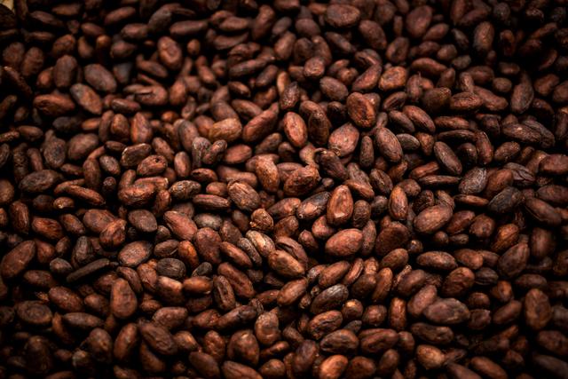 Cocoa beans and cocoa fruit on the cocoa concept with raw materials Aromatic cocoa beans as background | Image Credit: © somchai20162516 - stock.adobe.com