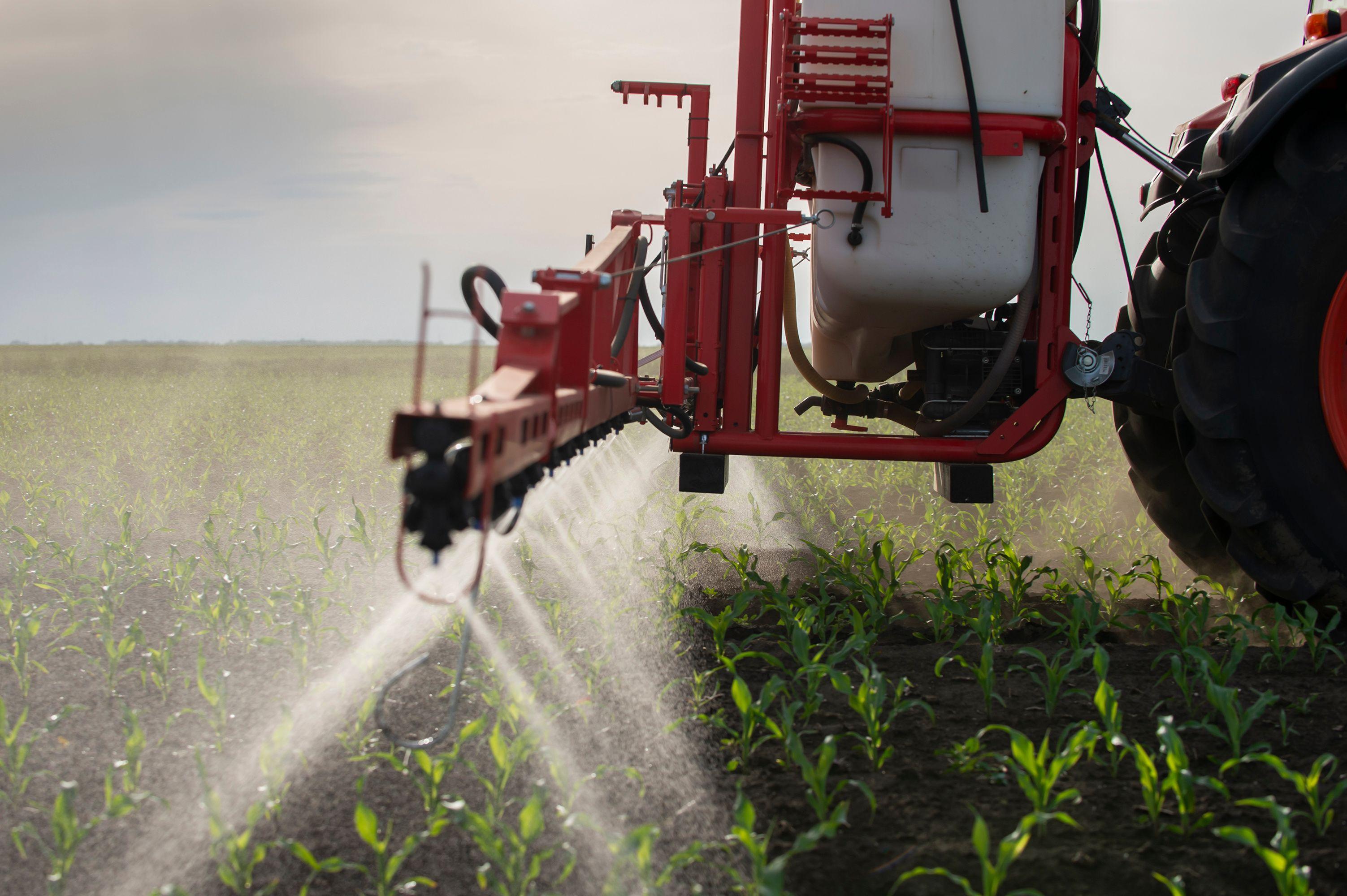 Tractor spraying pesticides at corn fields | Image Credit: © Vesna - stock.adobe.com