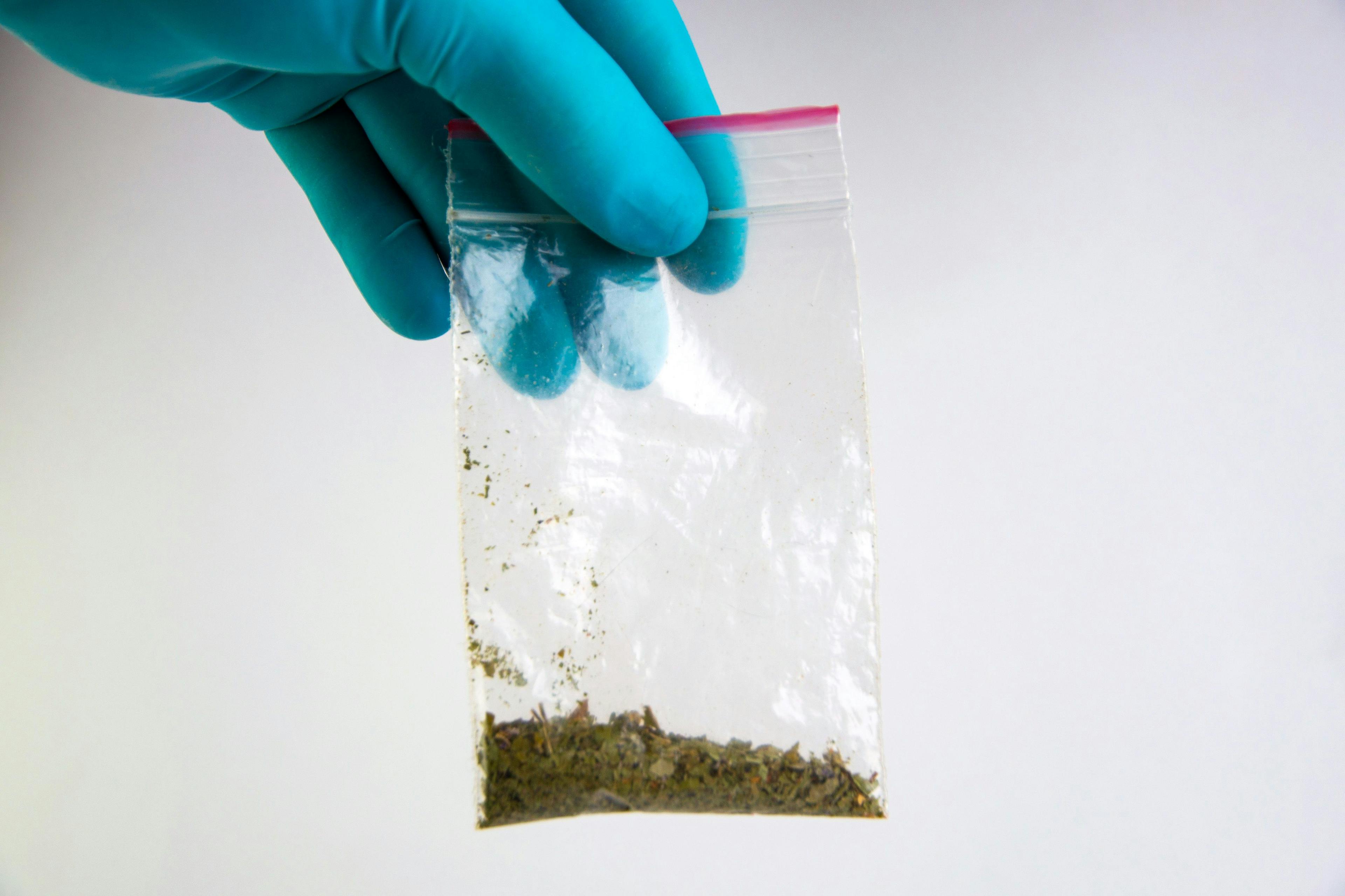 synthetic marijuana: laboratory technician holds samples of narcotic herbal medicines in hand | Image Credit: © BUSLIQ - stock.adobe.com