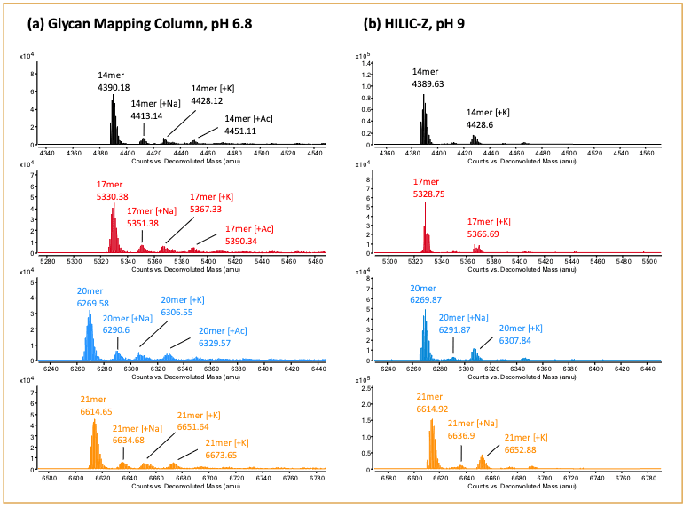 Figure 6: Spectral deconvolution of 14-, 17-, 20-, 21-mer RNA, showing the applicability of the LC–MS method for intact mass determination.