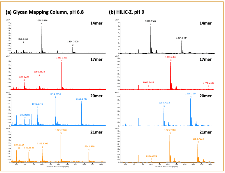 Figure 5: Full-scan MS1 mass spectra for 14-, 17-, 20-, 21-mer RNA.