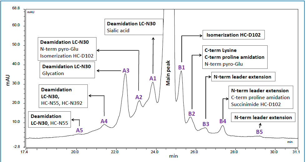 Figure 7: CEX chromatogram of an IgG1 mAb showing PTMs in the acid and basic charge variant peaks identified by RPLC-MS/MS (Note: Only major modifications are shown, high abundant modifications are in bold letters).