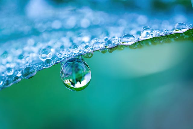 Large drop water reflects environment. Nature spring photography — raindrops on plant leaf. Background image in turquoise and green tones with bokeh. | Image Credit: © Laura Pashkevich - stock.adobe.com