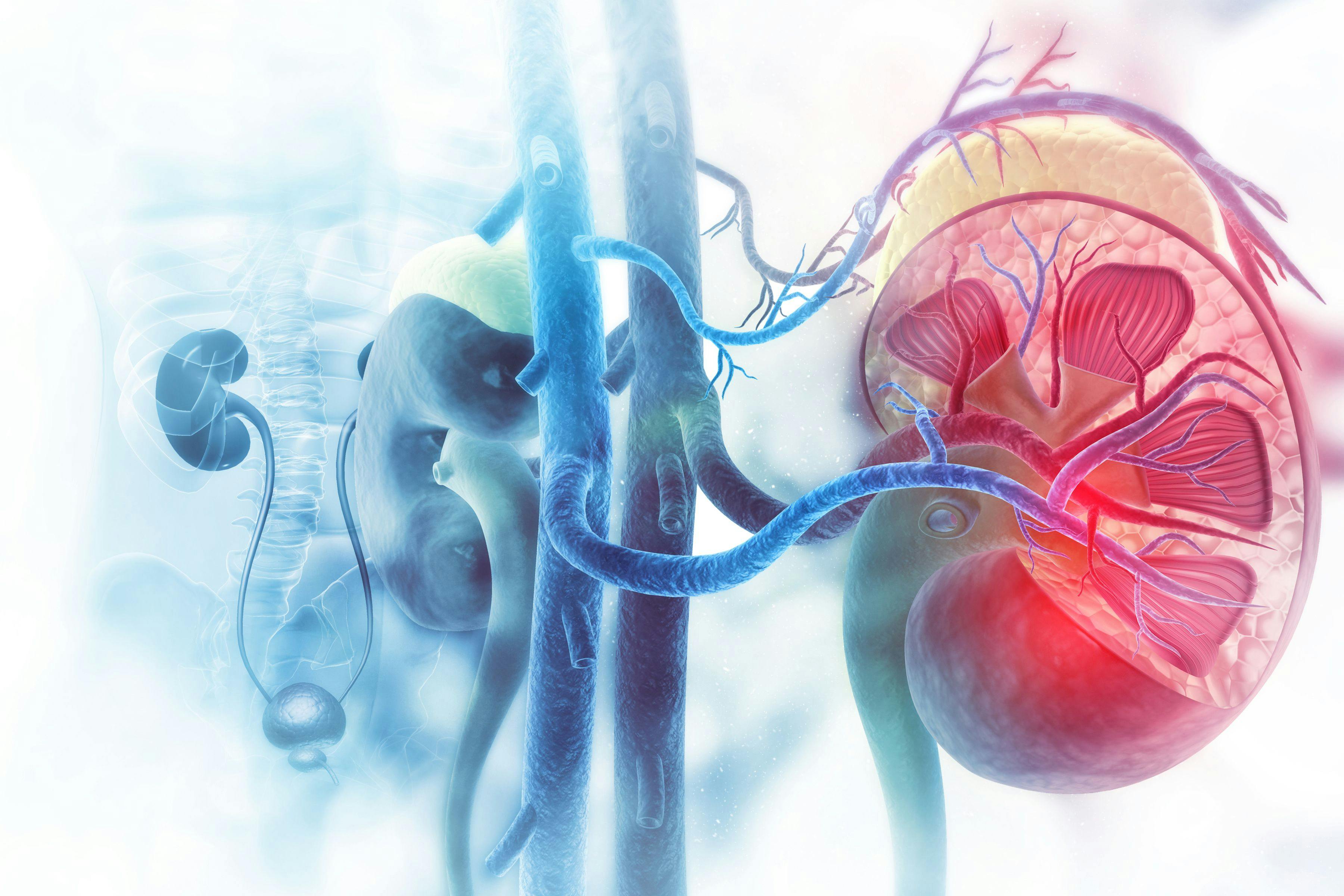 Metabolic Assessment in Non-Dialysis Patients with Chronic Kidney Disease Using LC-MS