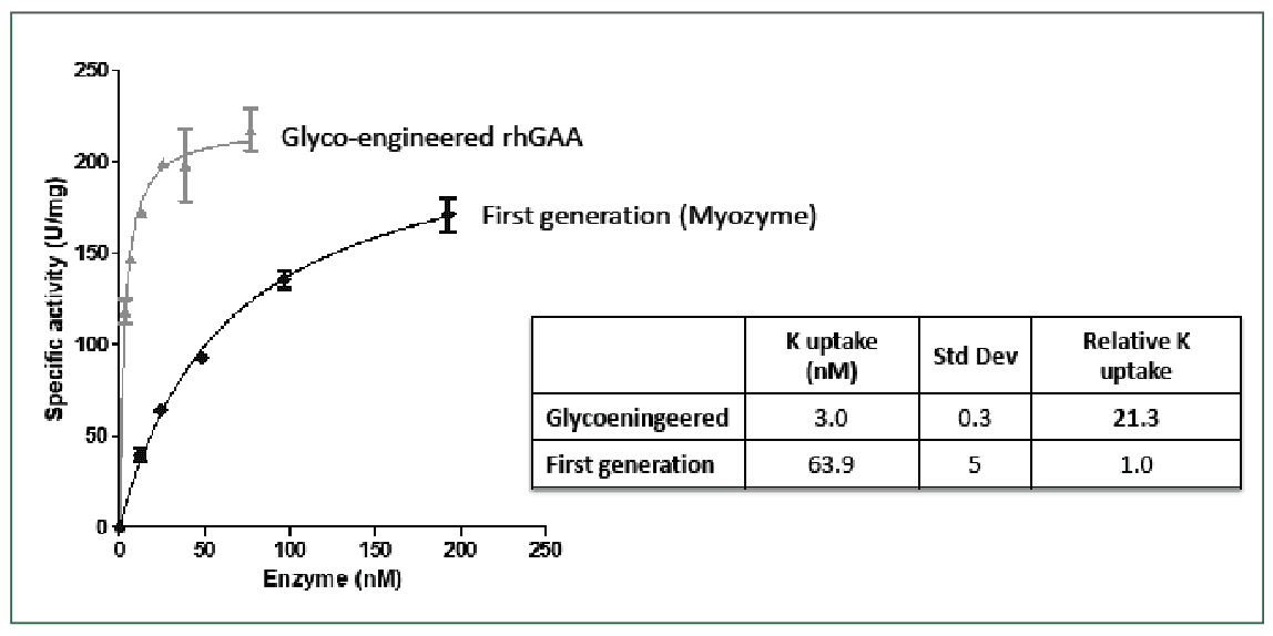 FIGURE 5: Enzyme uptake in Pompe disease patient fibroblasts. Experimental details can be found in Tiels et al. (11).