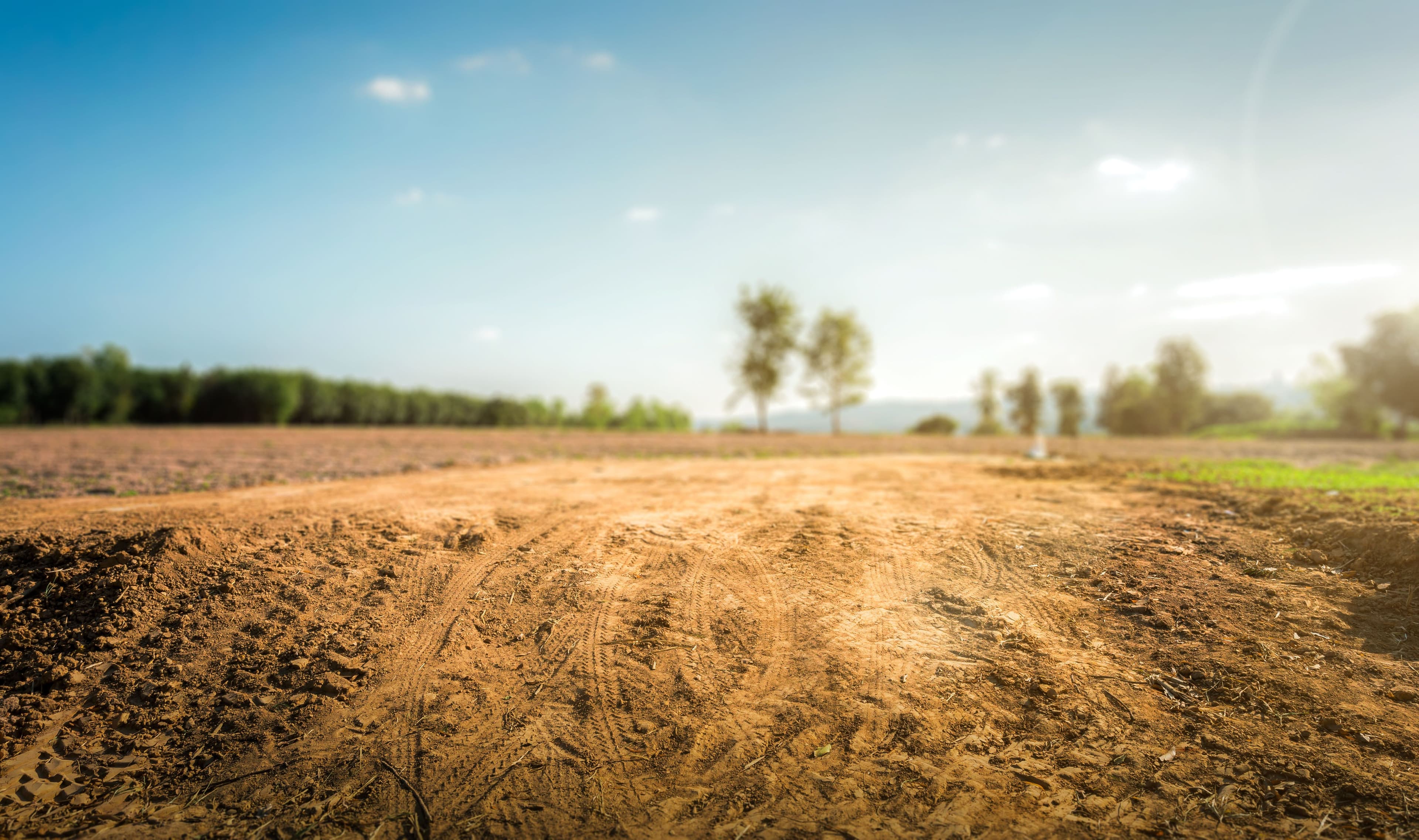 Empty dry cracked swamp reclamation soil, land plot for housing construction project with car tire print in rural area and beautiful blue sky with fresh air land for sales landscape concept. | Image Credit: © Puttachat - stock.adobe.com. 