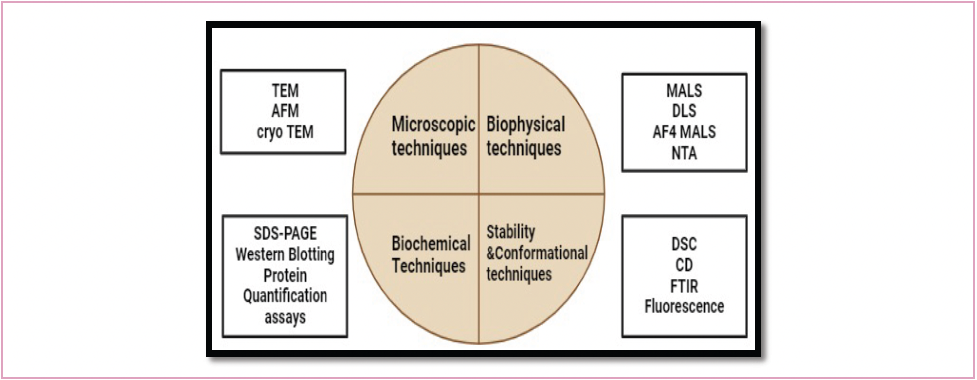 FIGURE 1: Analytical techniques for VLP characterization.