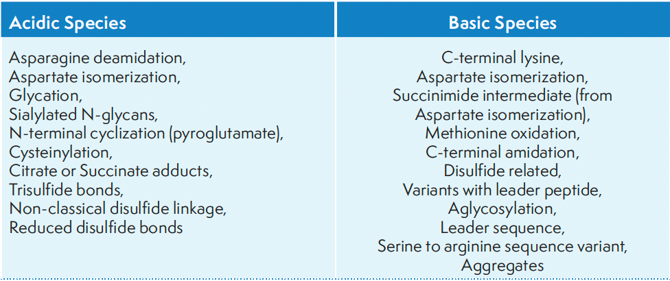 Table I: Common modifications that form acidic and basic charge variants in mAbs.