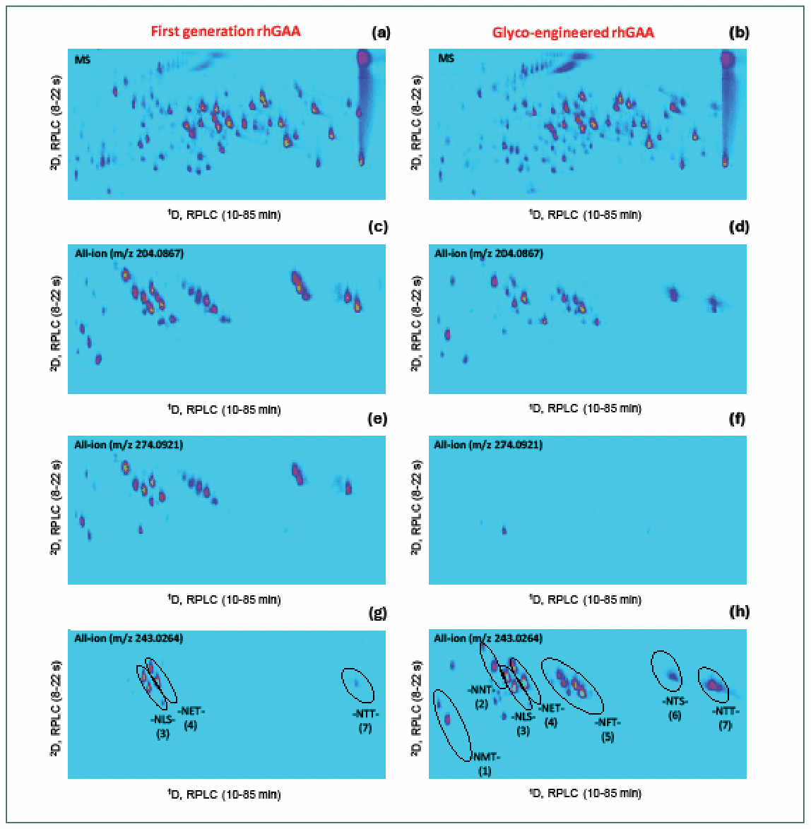 FIGURE 4: LC×LC–MS peptide map of (a,c,e,g) first- and (a,b,f,h) next-generation glyco-engineered rhGAA digest. (a-b) Full MS data; (c-d) all-ion fragmentation data extracting the sugar oxonium ions at m/z 204.0867 for N-acetylglucosamine-GlcNAc; (e-f) m/z 274.0921 for N-acetylneuraminic acid-NeuAc; (g-h) m/z 243.0264 for mannose-6-phosphate–Man6P. Ions were extracted at 20 ppm mass accuracy. Additional spots revealed in Figure 4h can be traced back to M6P carrying O-glycosylated peptides.