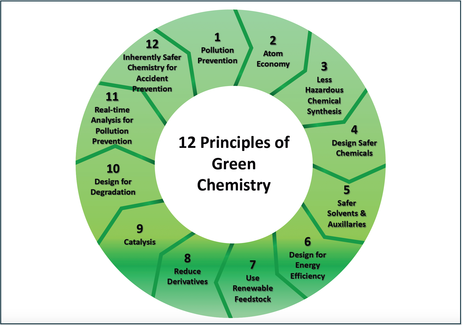 FIGURE 1: The twelve principles of green chemistry (1).