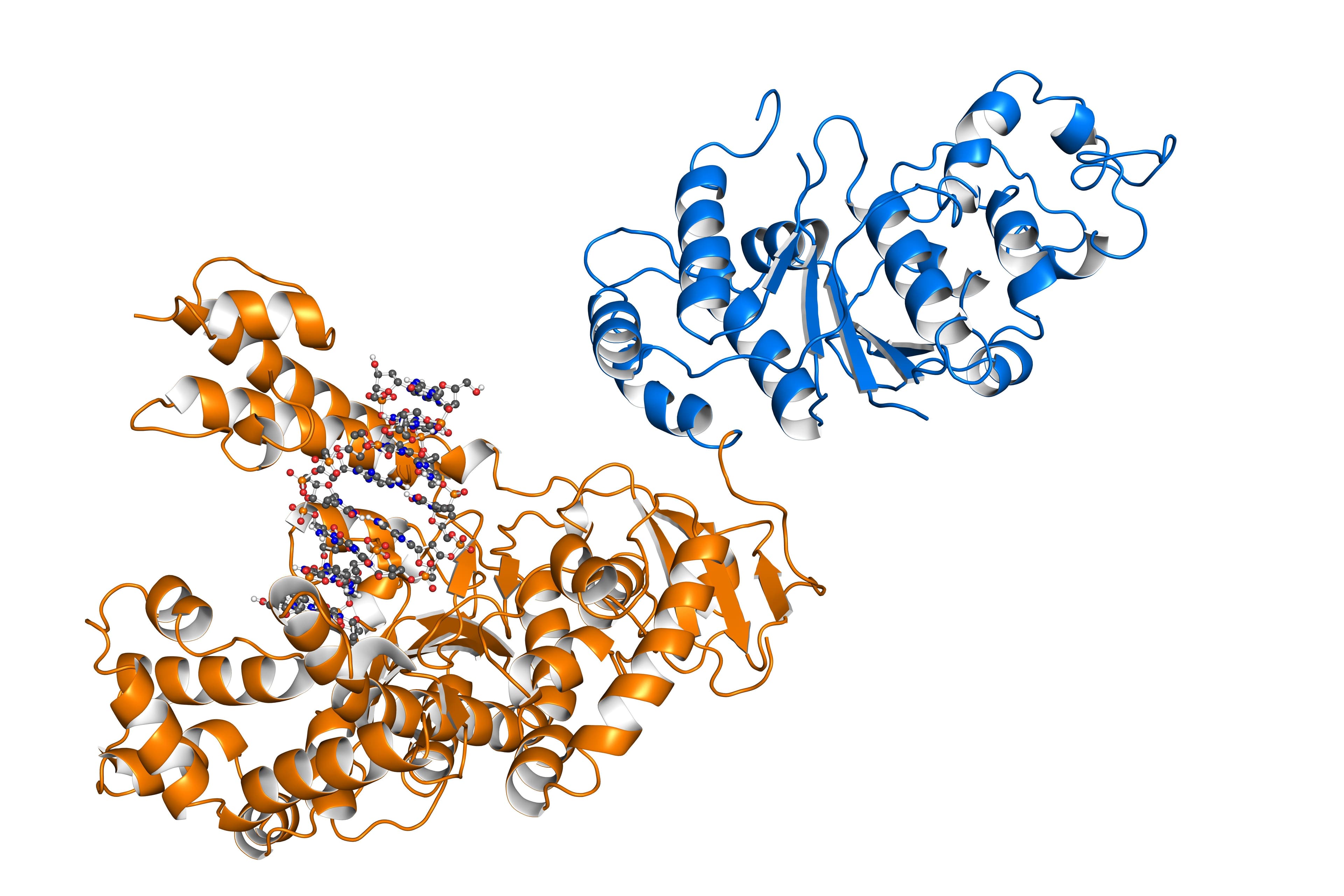 Taq polymerase is a thermostable DNA polymerase, frequently used for PCR, an important method in biomedical research that enables amplification of short DNA segments. | Image Credit: © petarg - stock.adobe.com