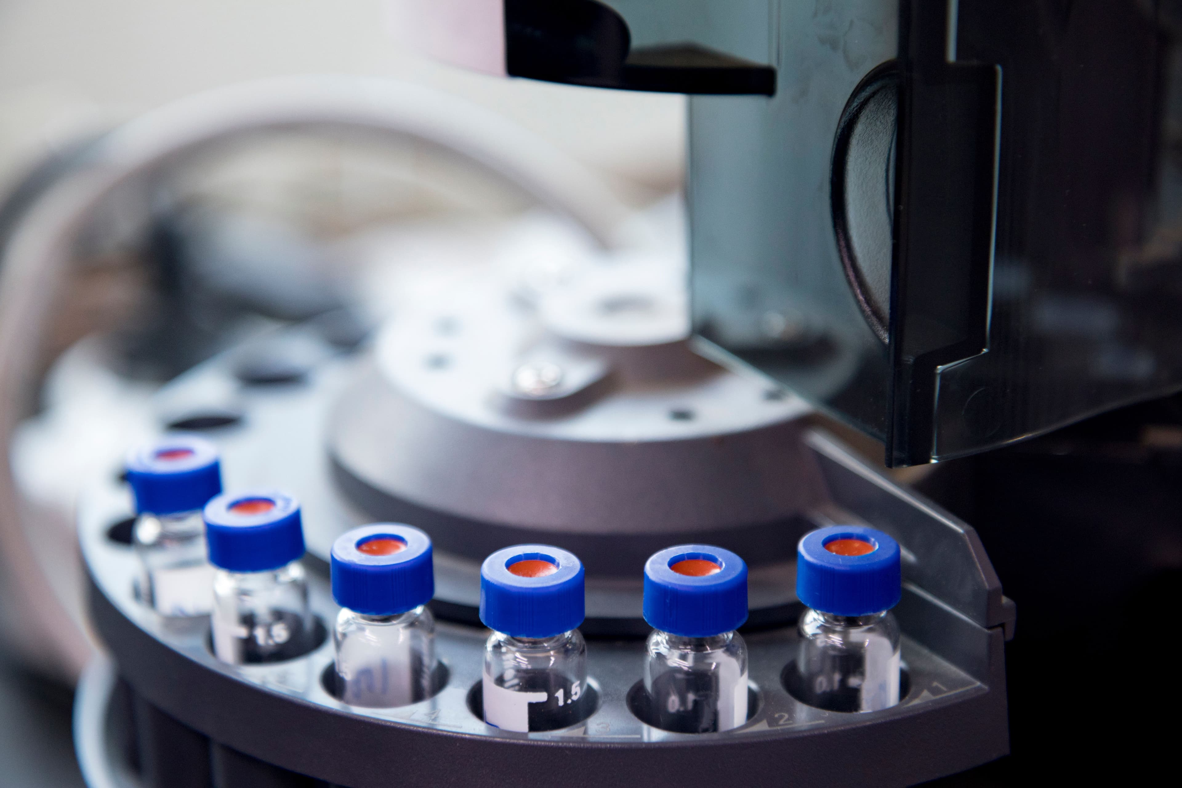 vials are arranged in the auto-sampler for the lab equipment. | Image Credit: © 김대수 김대수 - stock.adobe.com