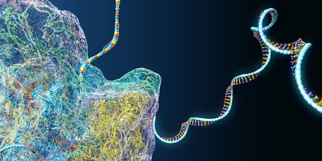 Ribosome as part of an biological cell constructing messenger rna molecules - 3d illustration | Image Credit: © Christoph Burgstedt - stock.adobe.com