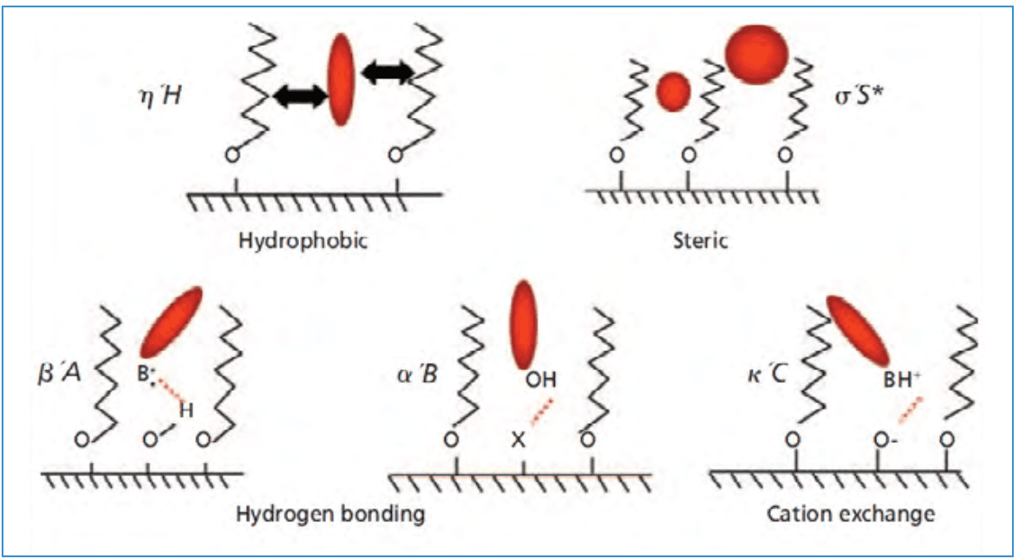 Figure 1: Conceptual illustration of the five major solute-stationary phase interactions accounted for by the HS model. Reprinted from reference (3).