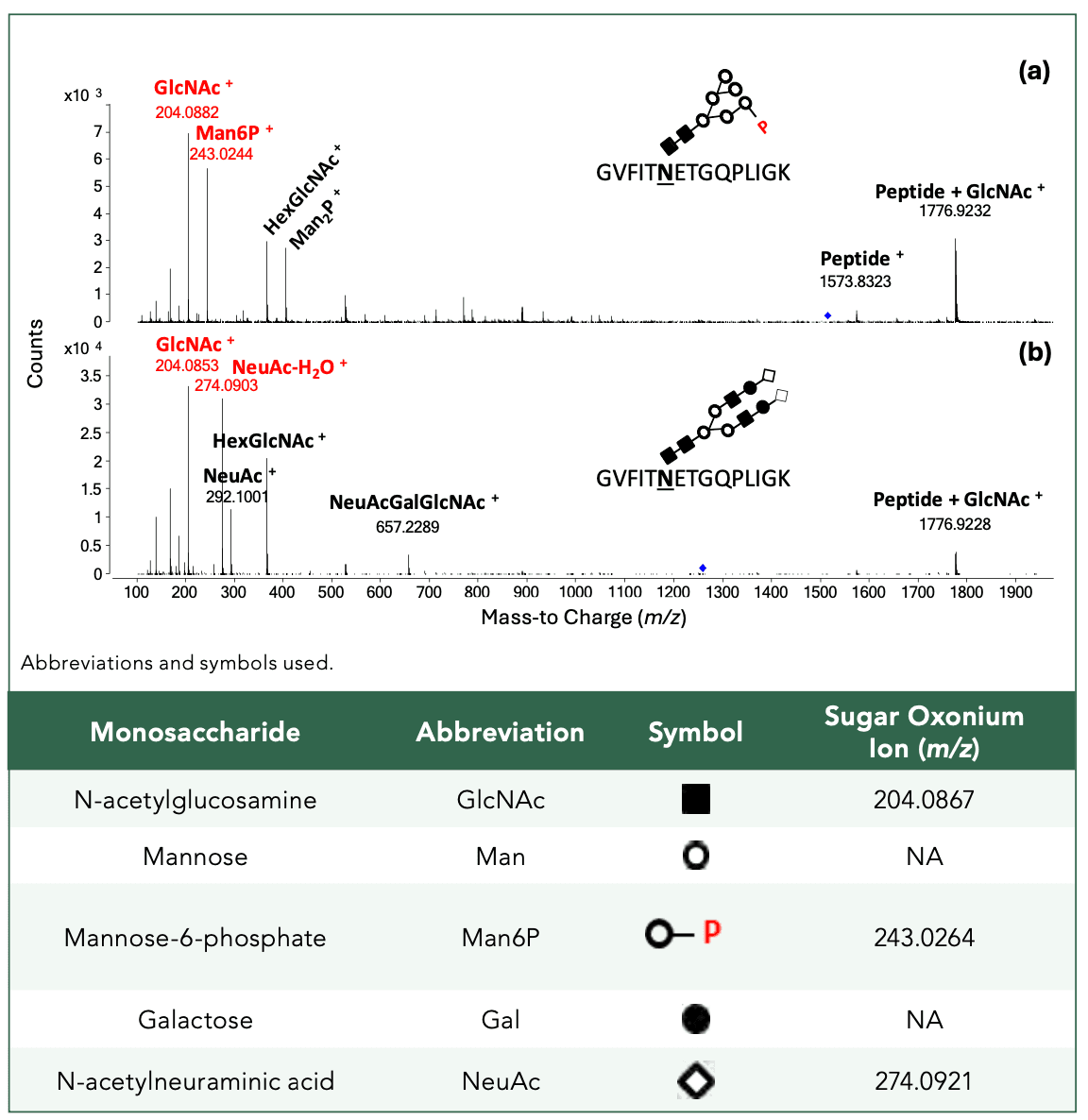 FIGURE 2: MS/MS spectra of tryptic peptide GVFITNETGQPLIGK decorated with phosphorylated high mannose (a) and sialylated complex N-glycans (b).