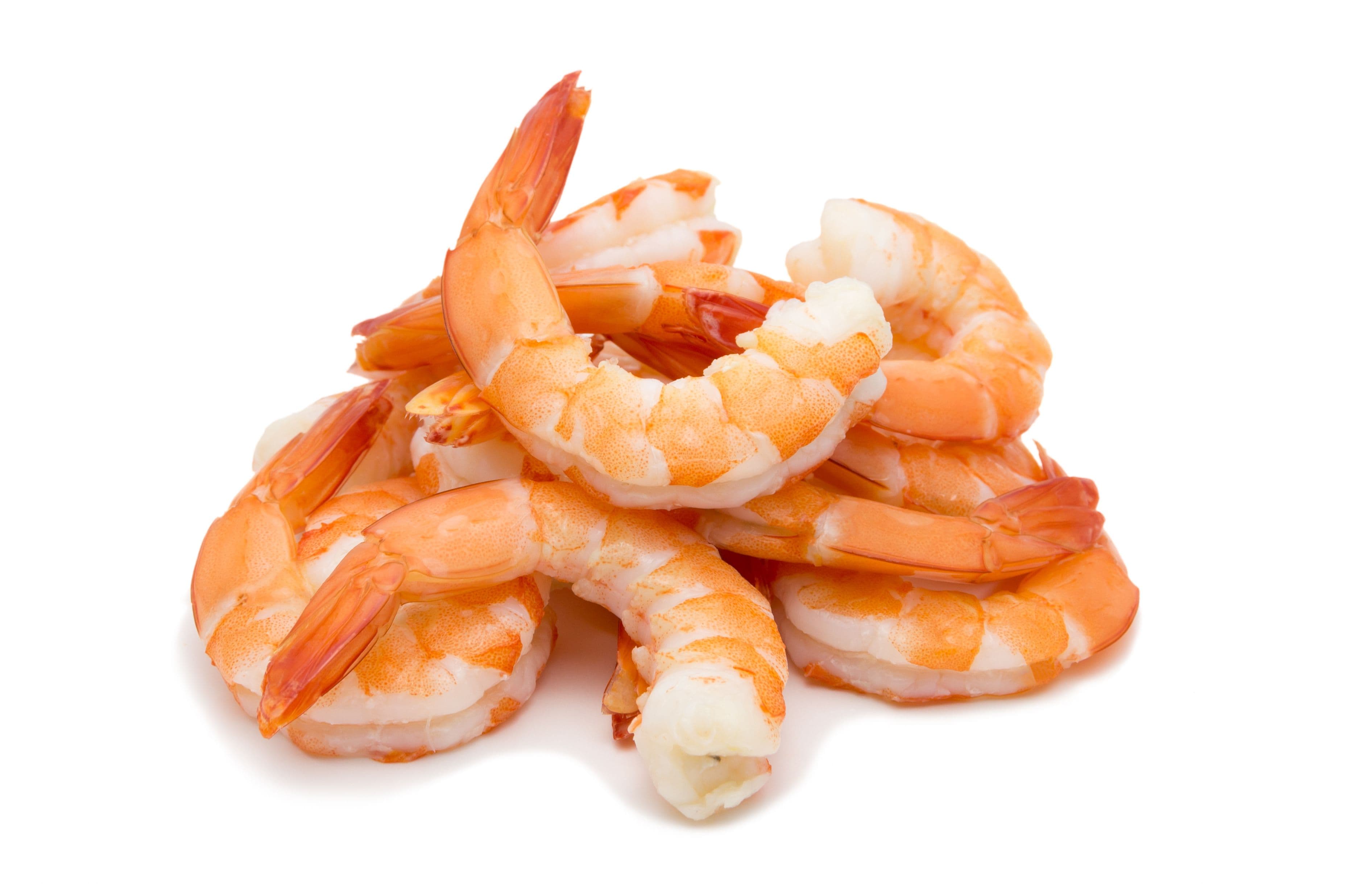 Shrimps isolated on white background concept | Image Credit: © petzshadow - stock.adobe.com