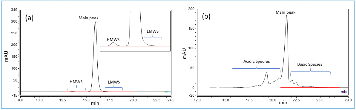 Figure 1: UV chromatogram of IgG1 mAb (a) SE-HPLC (b) CEX-HPLC (Note: HMWS = high molecular weight species, LMWS = low molecular weight species).