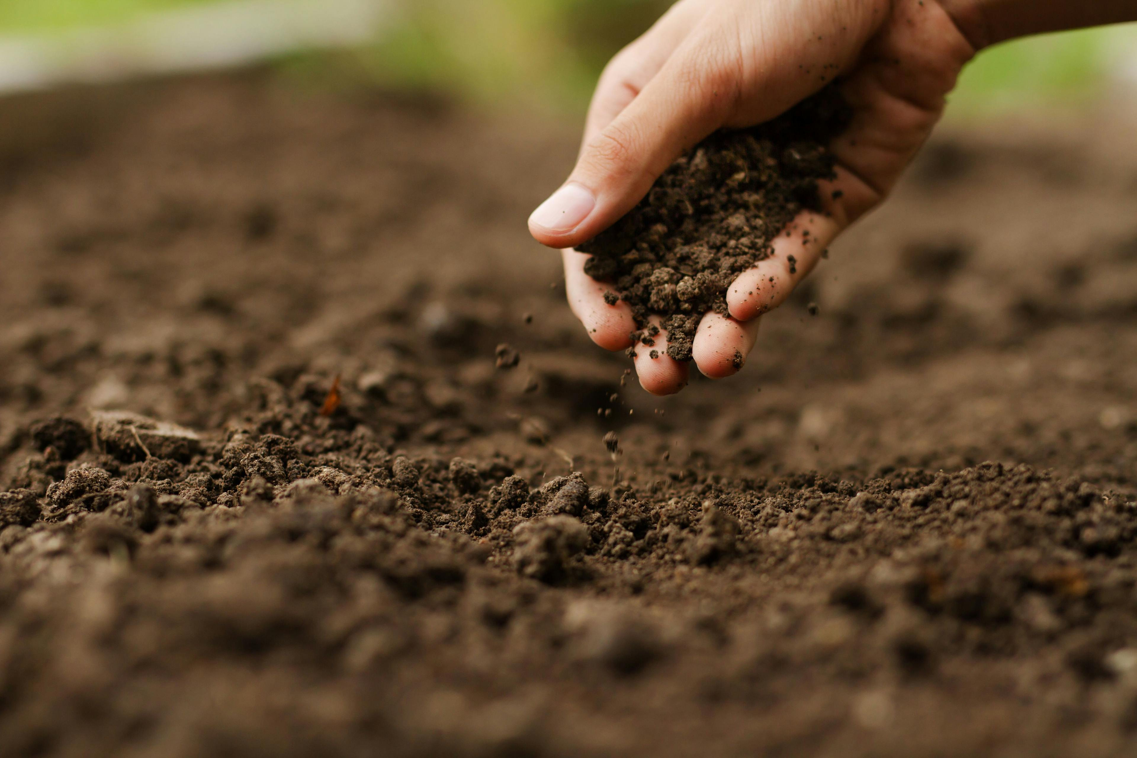 Expert hand of farmer checking soil health before growth a seed of vegetable or plant seedling. Gardening technical, Agriculture concept. | Image Credit: © piyaset - stock.adobe.com