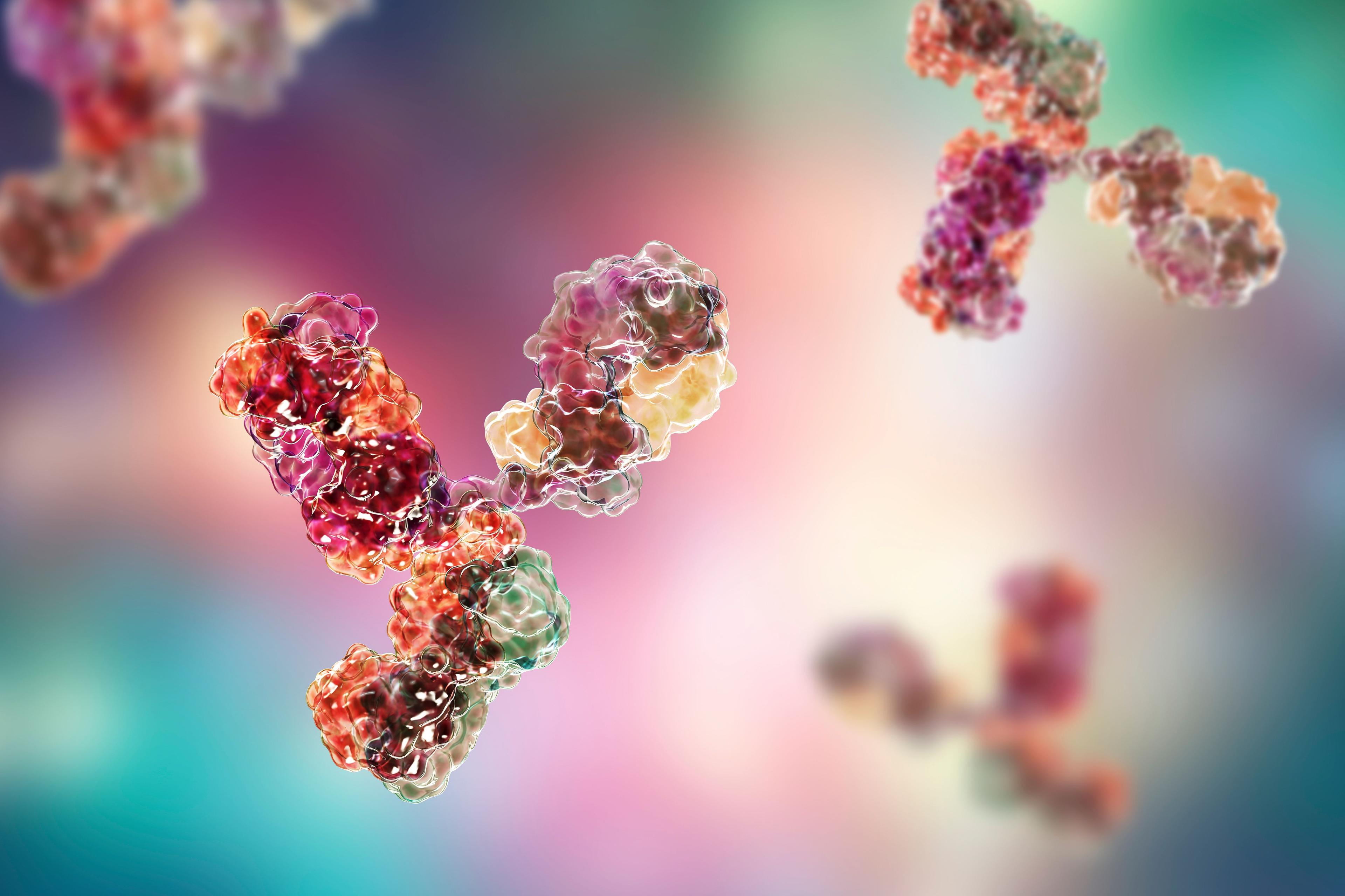 Molecular model of antibody taking part in immune defense. © Dr_Microbe - stock.adobe.com