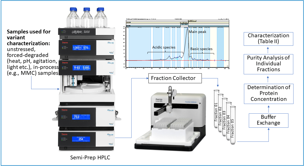 Figure 2: A semi-preparative HPLC fractionation workflow used for characterizing product-related variants.