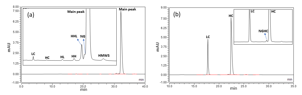 Figure 5: Electropherograms of CE-SDS of IgG1 mAb (a) non-reduced, and (b) reduced (Note: LC, light chain; HC, heavy chain; HL, heavy and light chain; HH, two heavy chains; HHL, two heavy and a light chain; NG, non-glycosylated mAb; NGHC, non-glycosylated heavy chain, HMWS, high molecular weight species).