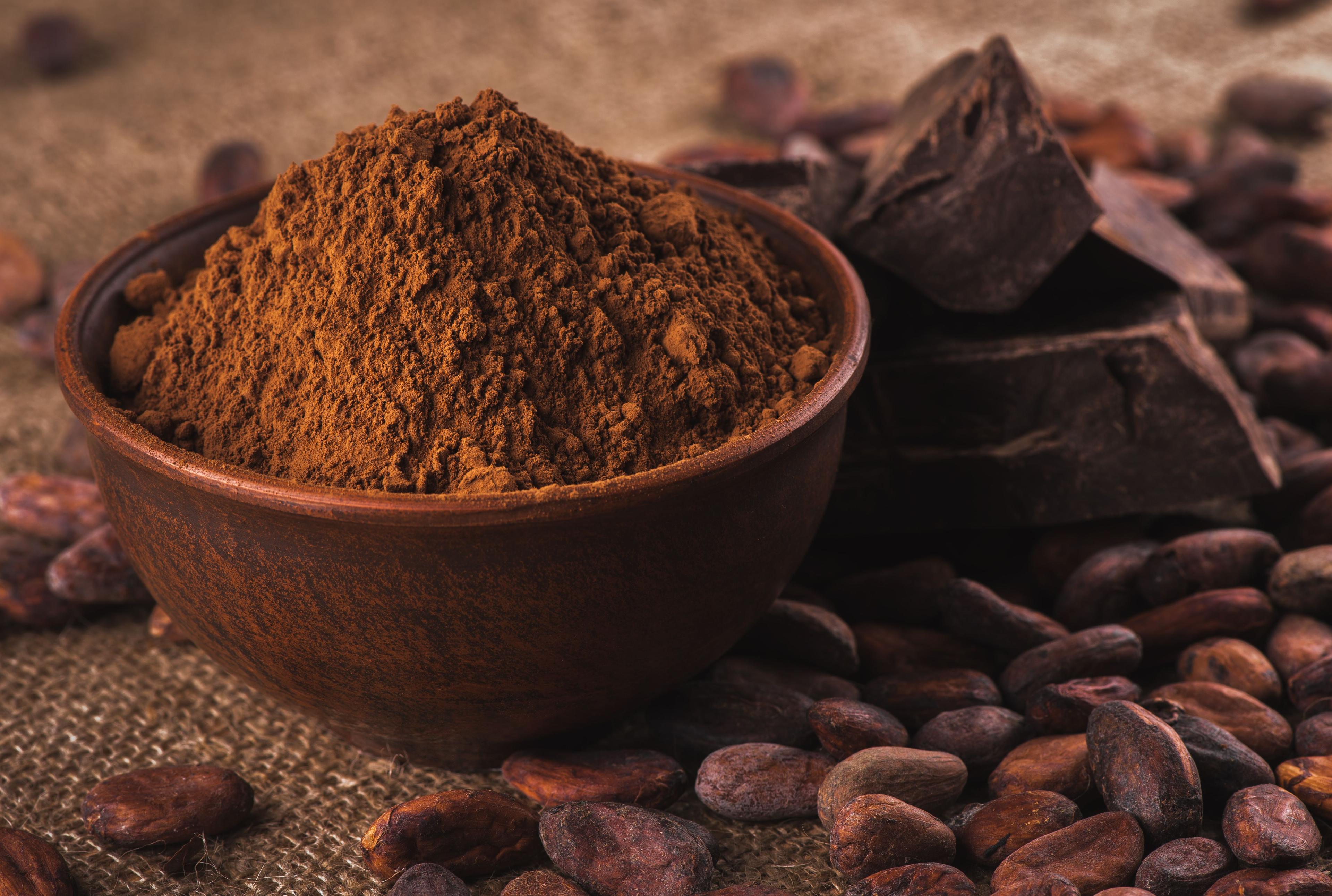 Cocoa powder in a brown ceramic bowl, with raw cocoa beans. © iprachenko - stock.adobe.com