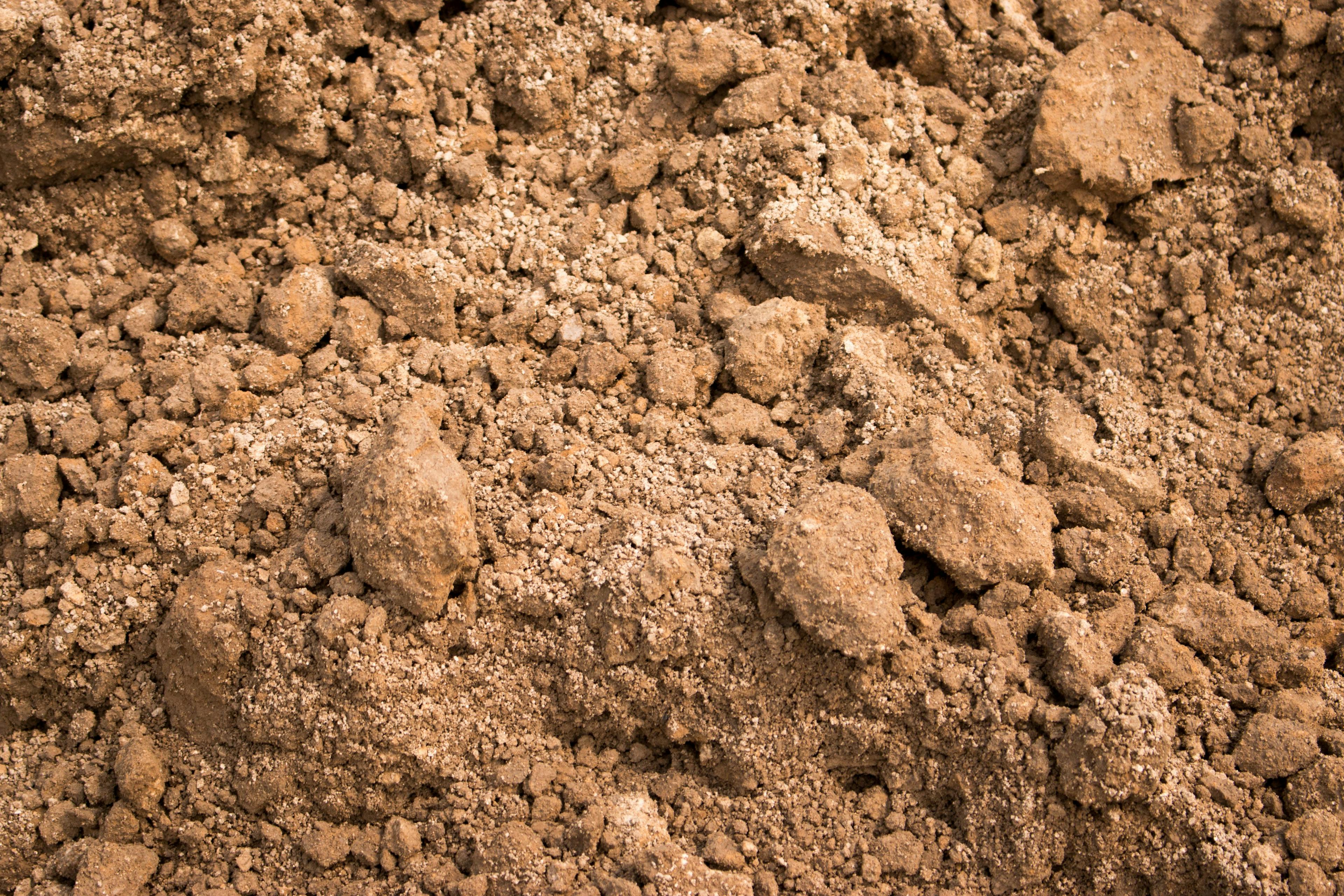 sandy loam soil ground By Dmytro - stock.adobe.com