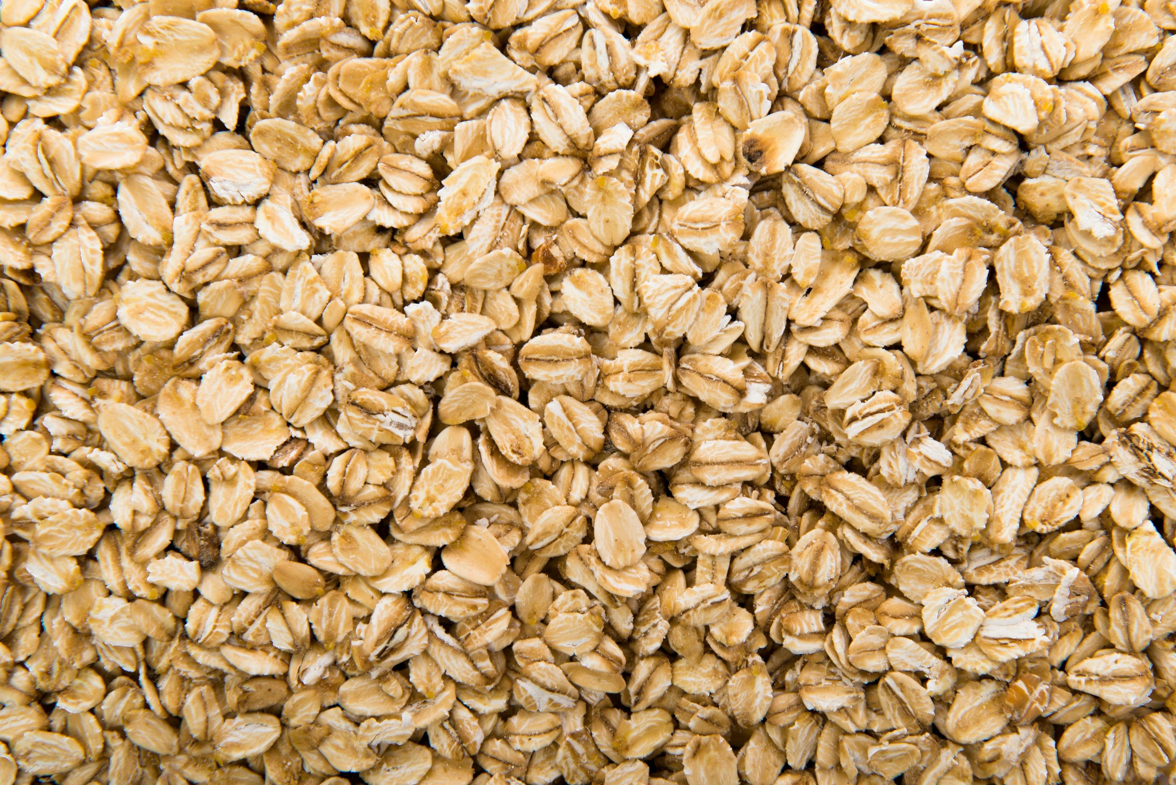 Oats. © luismolinero- stock.adobe.com