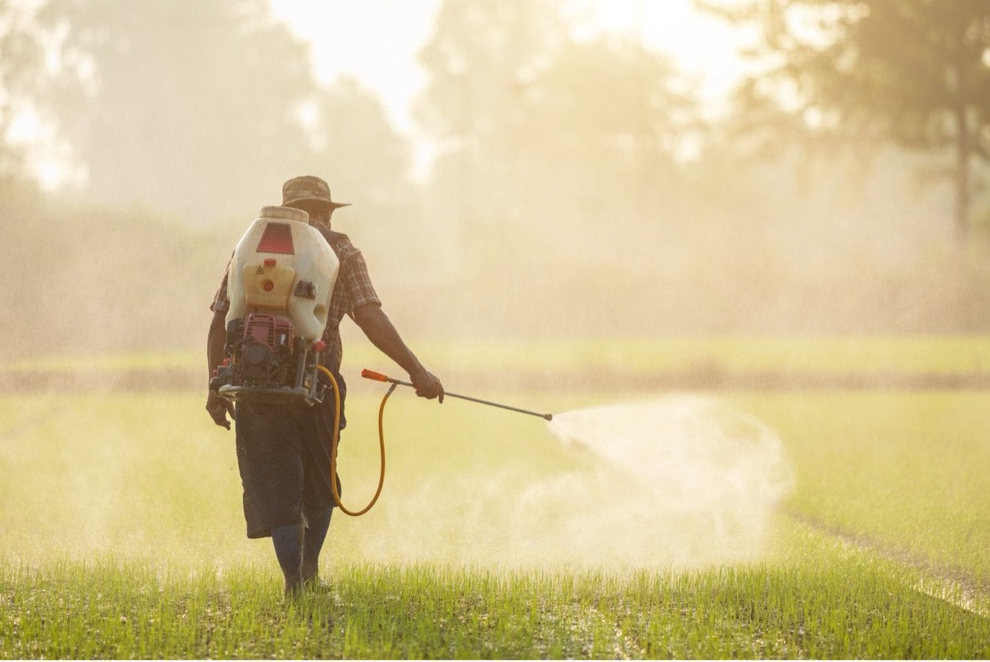 Farmer spraying pesticides: © SKT Studio - stock.adobe.com 

